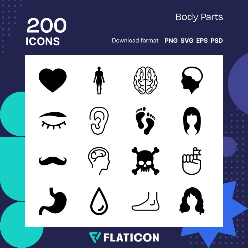 Name of human body part vector free download