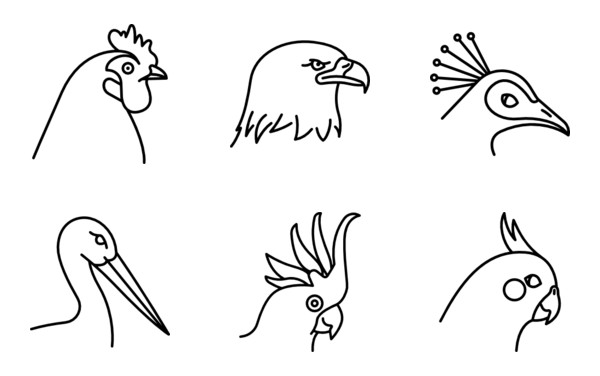 Birds Species