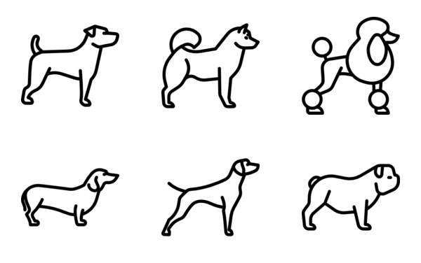 dog breeds fullbody dog breeds fullbody