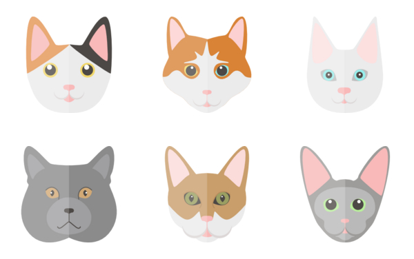 cat set