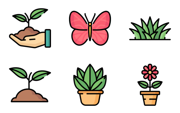 house plants