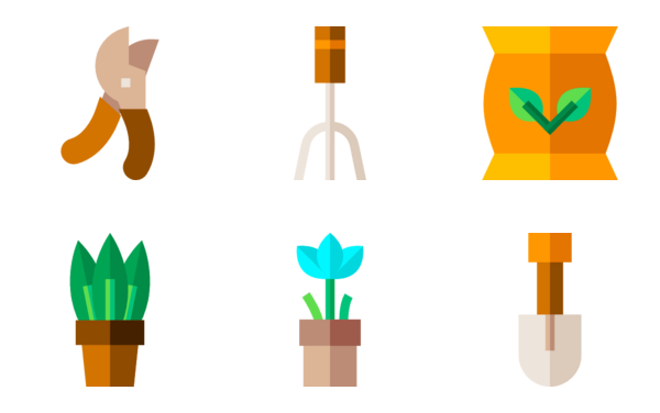 house plants