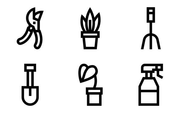 house plants