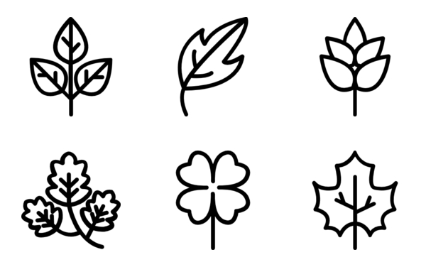 leaf leaf