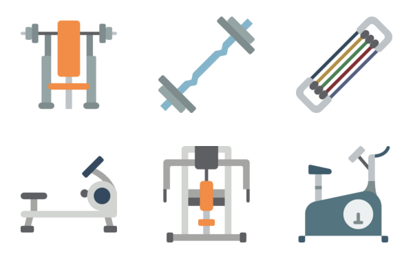 gym equipment gym equipment