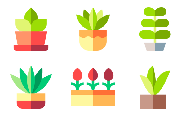 House Plants House Plants