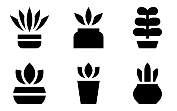 house plants house plants