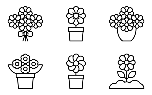 plants plants