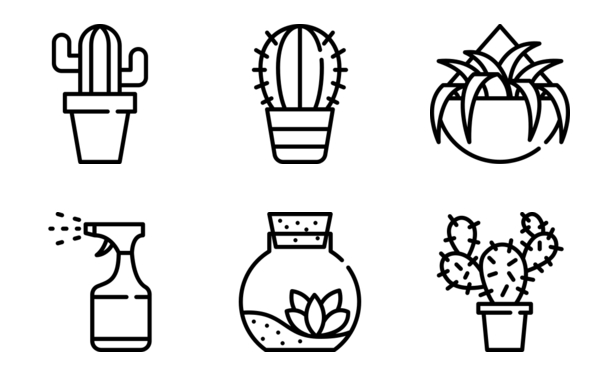 house plants house plants