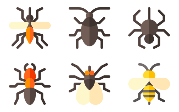 Insects