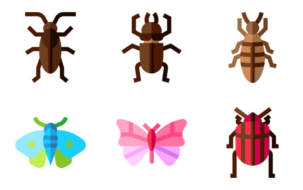 Insects