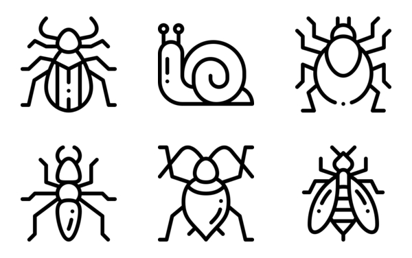 Insects