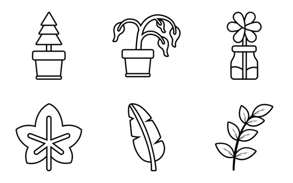 plants