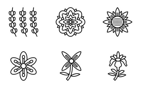 flowers flowers