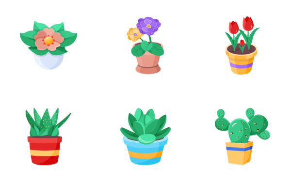Plant Plant