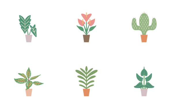 potted plants and flowers