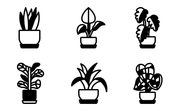 indoor plants