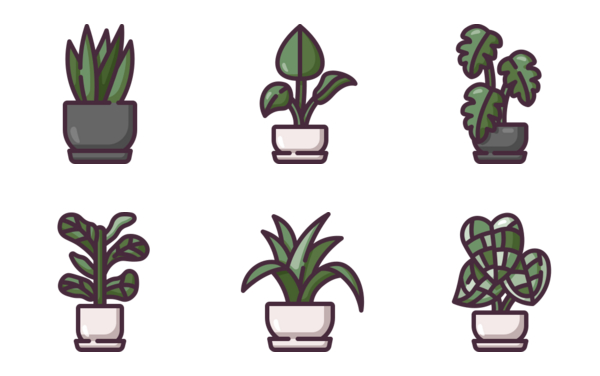 indoor plants