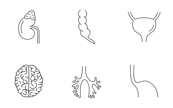 ultrasound diagnostics in medical clinic