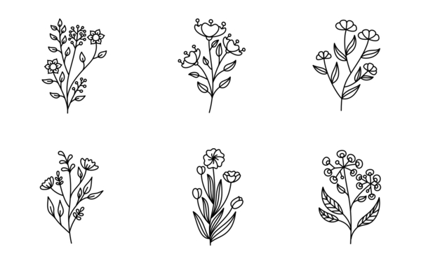 floral branch outline