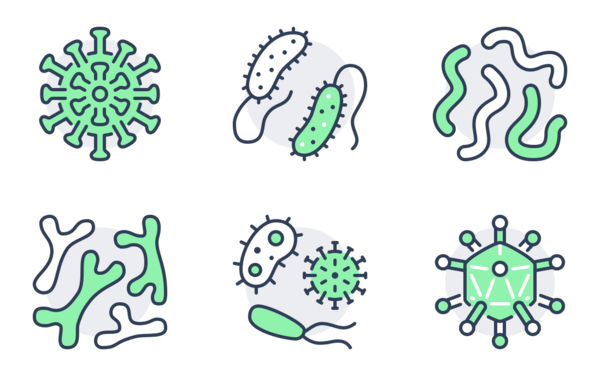 bacteria  green