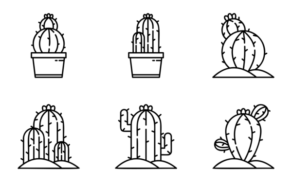 Cacti Cacti