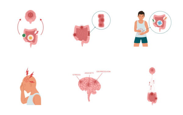 poor gut health  neuroinflammation