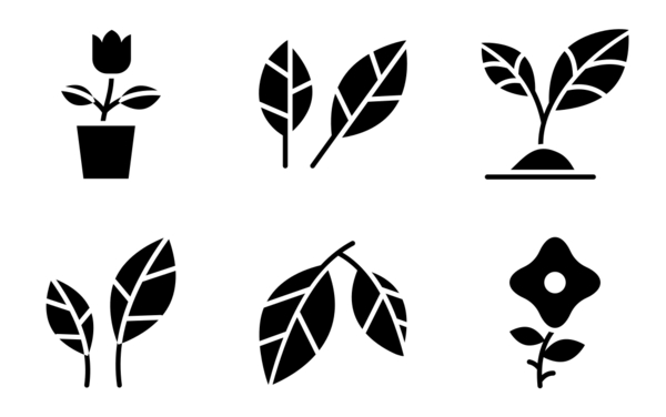 Plant Plant
