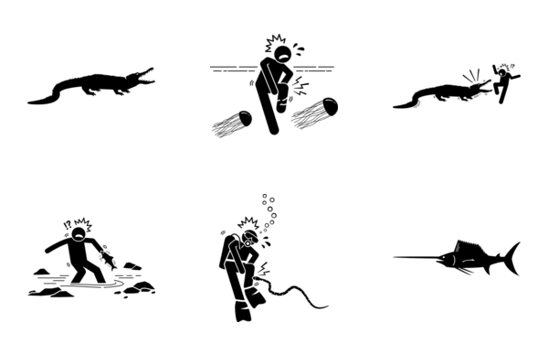 underwater sea animal attack human underwater sea animal attack human