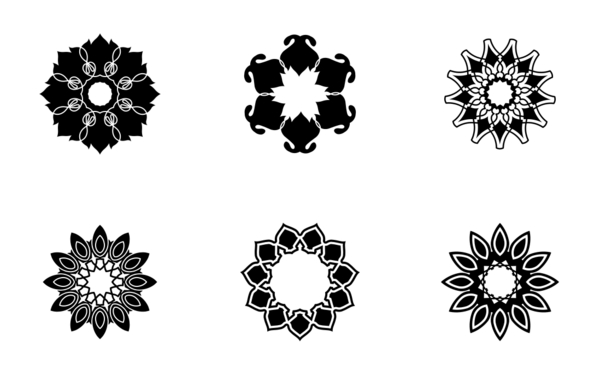 flower and decoration flower and decoration