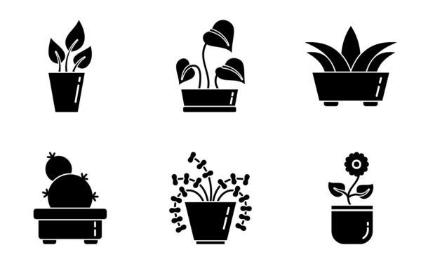 houseplants