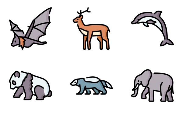 Mammal Animals