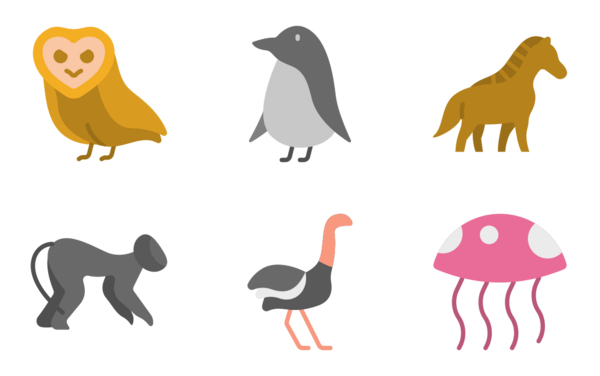 animal animal