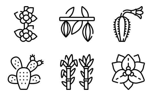 latin american plants