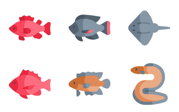 Types of Fish Types of Fish