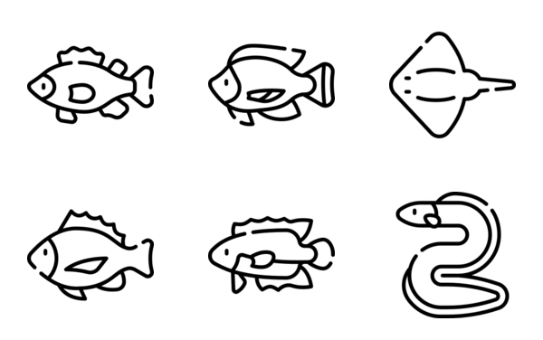 Types of Fish Types of Fish