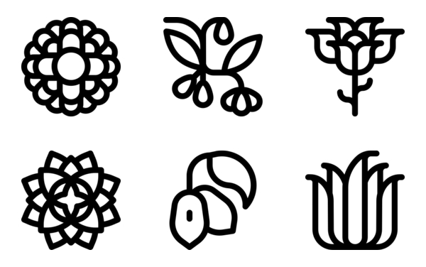 latin american plants latin american plants