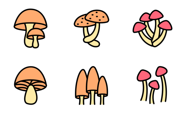 mushroom