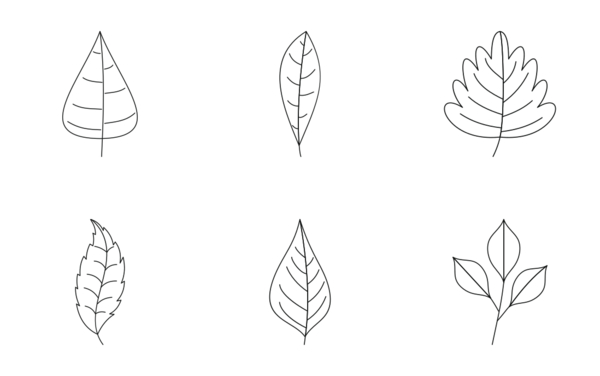 plant leafs  outline