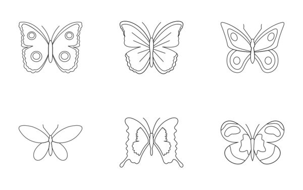 butterfly  outline