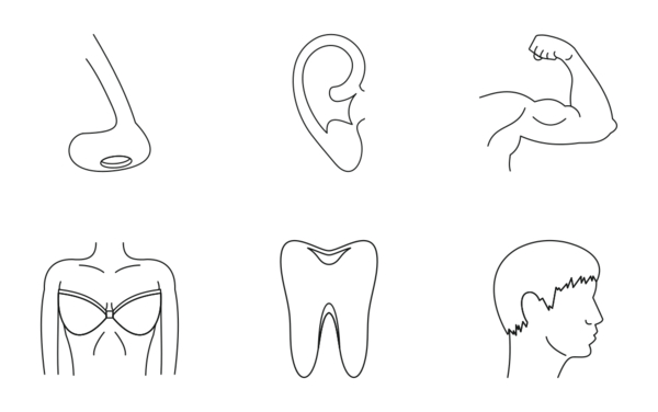 body parts  outline