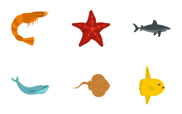 sea animals