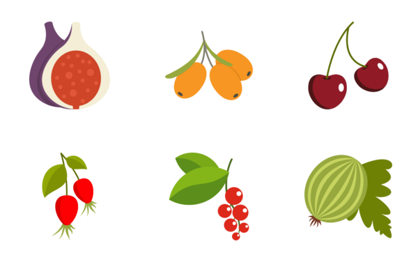 fruit fruit