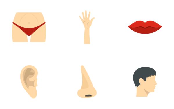 Body parts Body parts