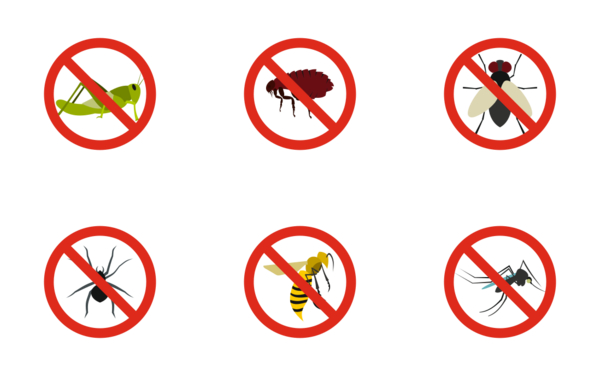 no insect sign