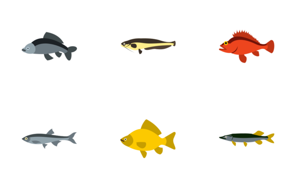 fish