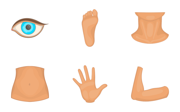 body parts  cartoon style body parts  cartoon style