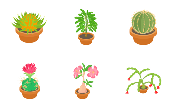 green cactuses green cactuses