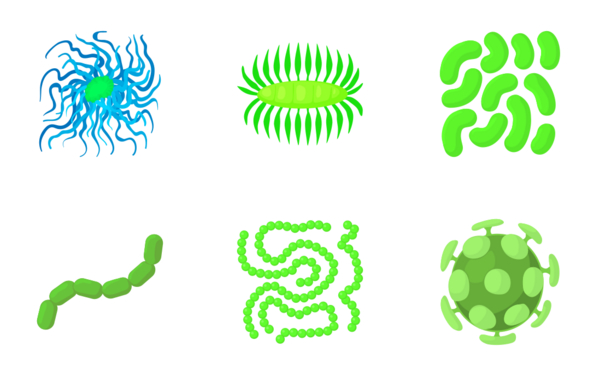 virus bacteria forms virus bacteria forms