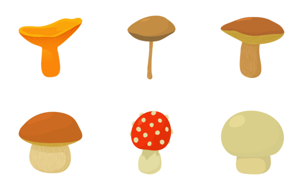 mushroom types